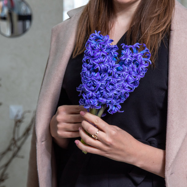 女人的手捧着一束新鲜的风信子。妇女节礼物。花店的图片，明信片。有选择性的重点。图片下载