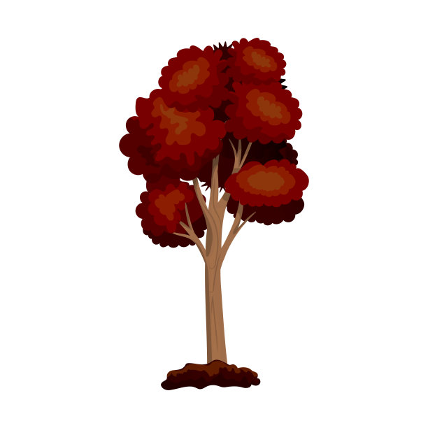 真实的绿色落叶树孤立在白色背景-向量图片下载