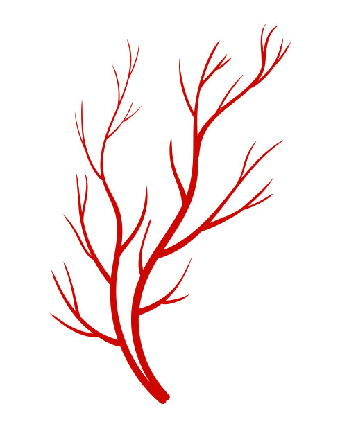 人类的静脉。红色轮廓的血管，动脉或毛细血管在白色背景上。医学的概念解剖学元素。血液系统矢量隔离符号图片下载