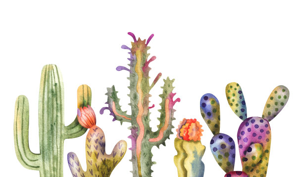 背景仙人掌和室内植物排列孤立在白色。明亮的水彩仙人掌横幅设计图片下载