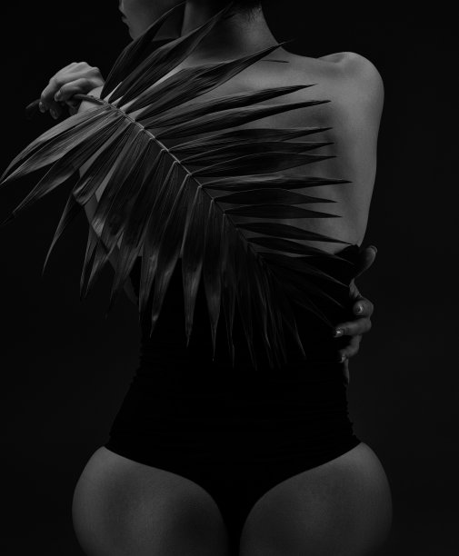 从后面看女性身体的黑白剪影。女性的剪影。图片下载