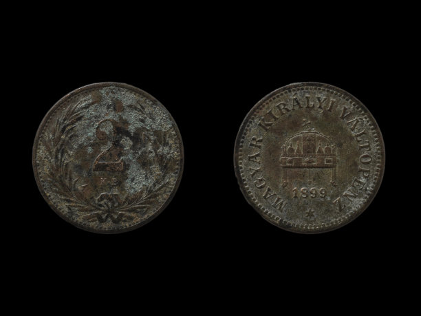 1899年的奥匈帝国填充硬币。图片下载