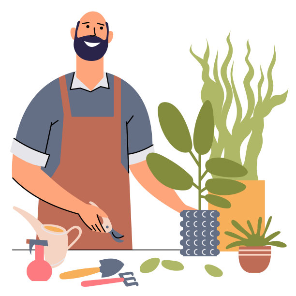 一个留着胡子的男人在照料室内植物。李子老叶子。图片下载