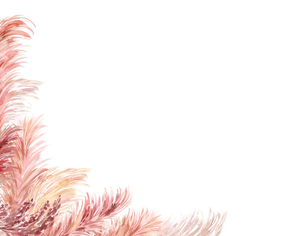 水彩潘帕斯草插图图片下载