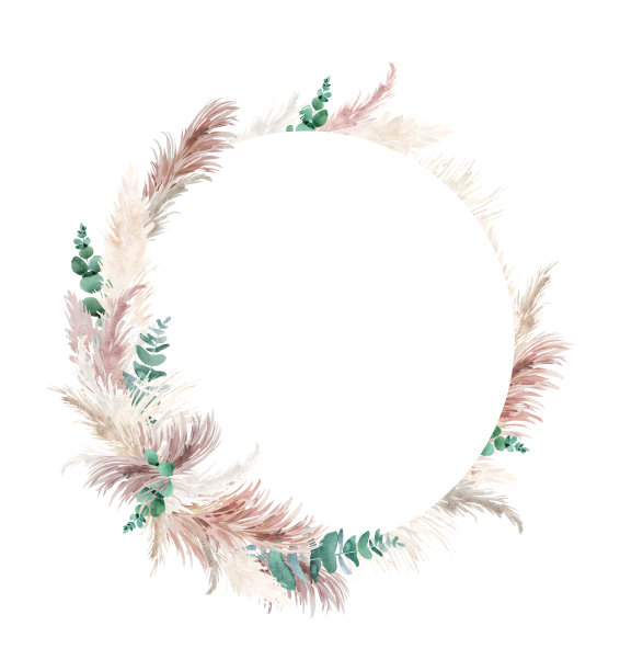 水彩潘帕斯草和桉树插图图片下载