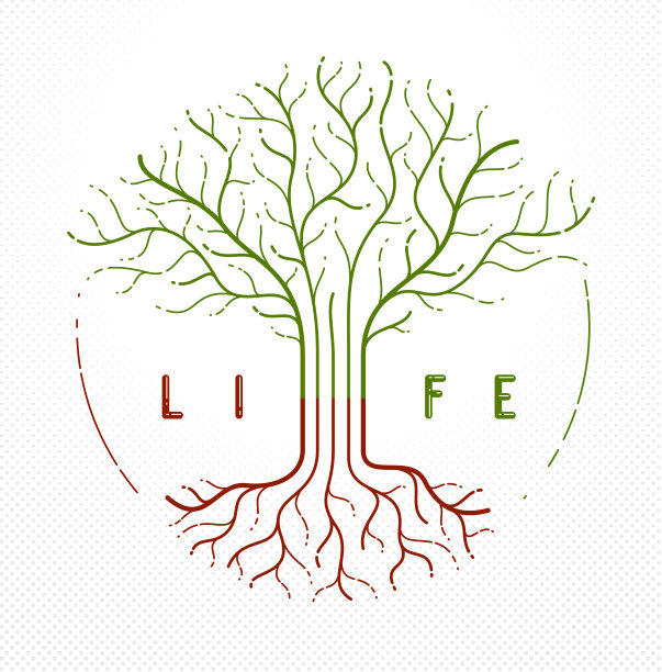 生命之树，生与死，生命的循环，矢量标志以线性风格绘制，经典符号。图片下载