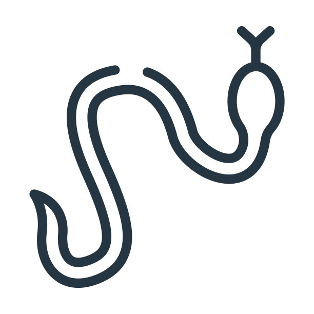 蛇签细线图标。蛇、动物线性图标从符号概念孤立轮廓符号。矢量插图符号元素的网页设计和应用程序。图片下载