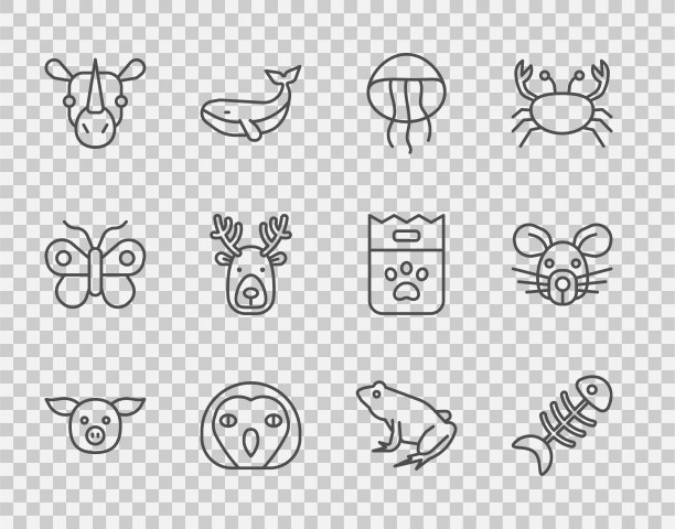 设置线猪，鱼骨架，水母，猫头鹰鸟，犀牛，鹿角鹿头，青蛙和老鼠图标。向量图片下载