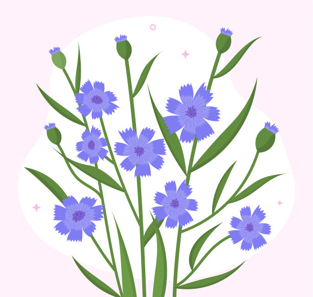 蓝色的美丽的花朵图片下载