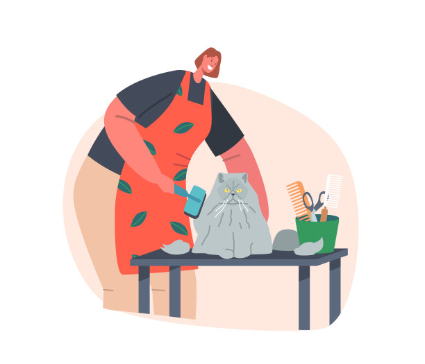 友好的美发师女性角色提供美容服务，梳波斯猫与长毛在沙龙的动物图片下载