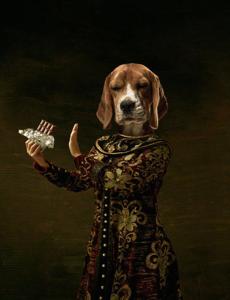 女模特就像中世纪皇室的人，穿着复古的衣服，在黑暗复古的背景下被狗头孤立。概念比较的时代，艺术品。超现实主义图片下载