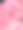 粉彩玫瑰特写图片下载