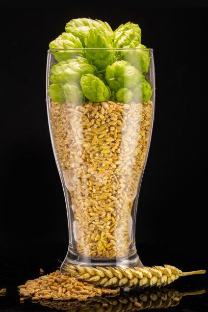 啤酒厂的概念。装满啤酒原料的啤酒杯——黑色背景上的绿色啤酒花和麦粒。图片下载