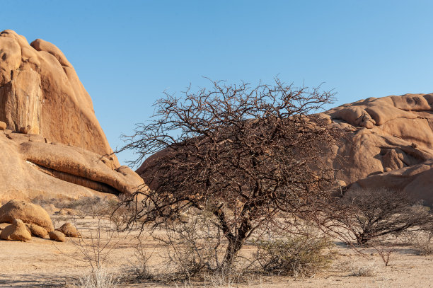 纳米比亚斯皮茨科佩附近的沙漠图片下载