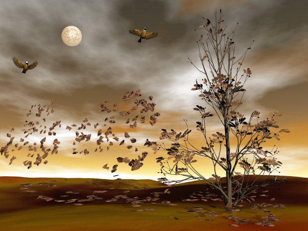 秋天的树- 3D渲染图片下载