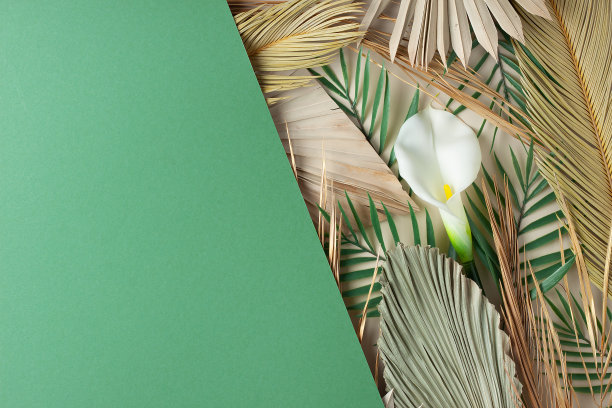 热带自然背景与棕榈叶和花的绿色。平铺，复制空间图片下载