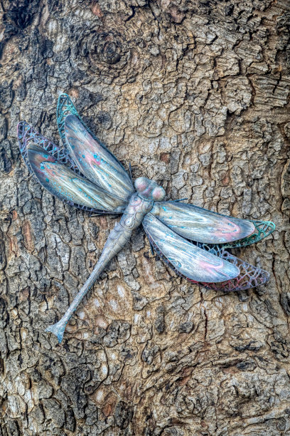 装饰金属蜻蜓图片下载