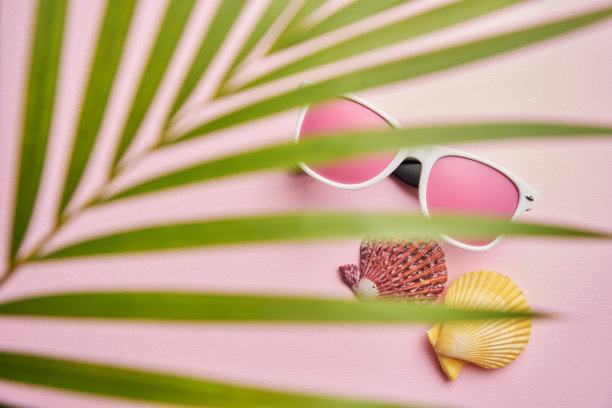 棕榈叶作为前景在粉红色太阳眼镜和贝壳对粉红色的背景图片下载