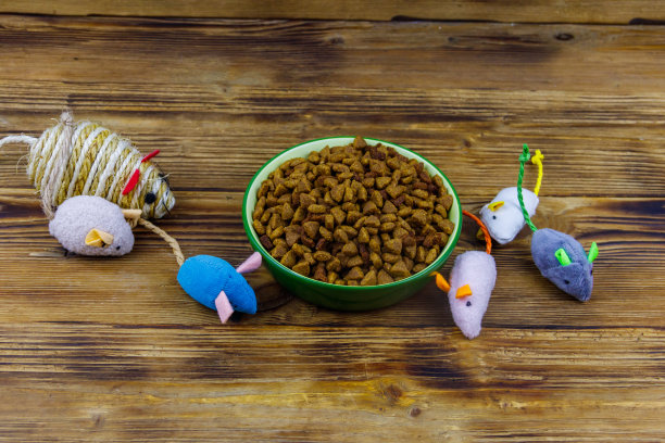 一套老鼠玩具猫和碗与干宠物食品在木制背景。宠物护理的概念图片下载