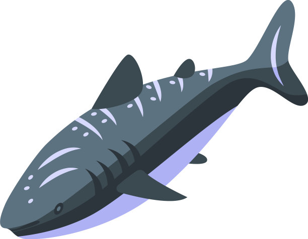 水族馆鲸鲨图标等距海洋图片下载