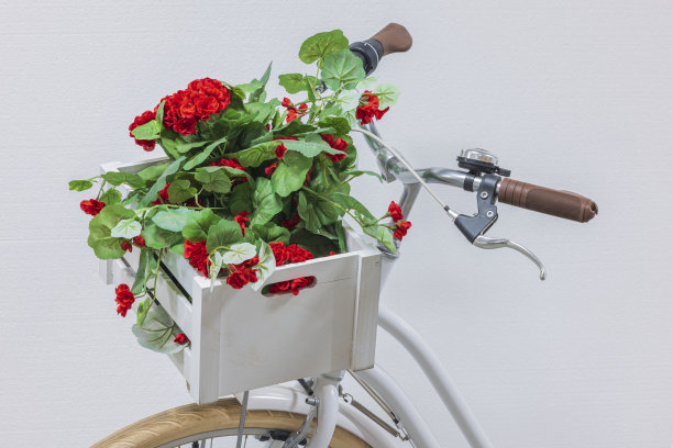 近距离观看白色自行车上的红色人造花木制盒子。瑞典。图片下载