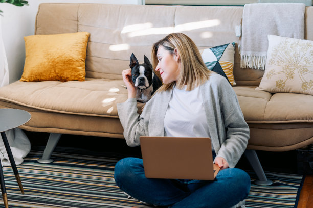 年轻女性在家和一只波士顿梗狗一起工作。自由职业女商人使用笔记本电脑在阳光明媚的房间。学生在家学习和工作。图片下载