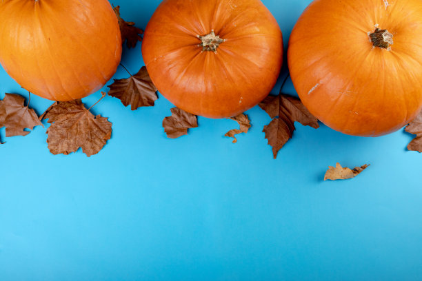 万圣节装饰的组成南瓜，树叶和复制空间在蓝色的背景图片下载
