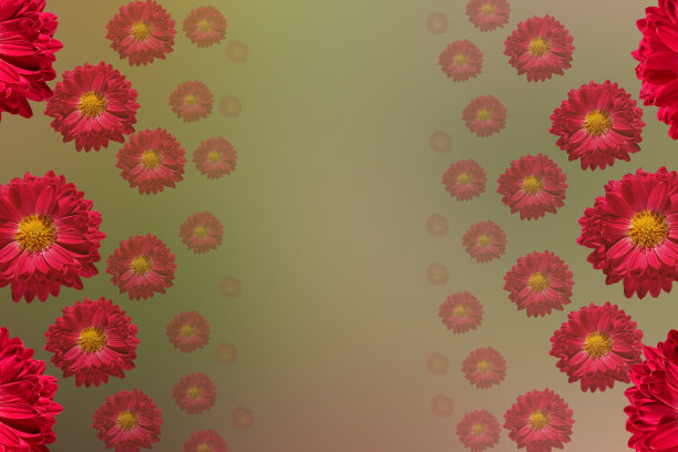 摘要变焦背景与花蕾图片下载