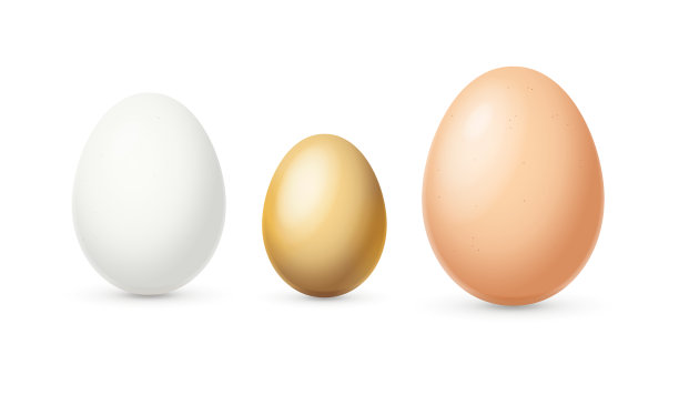 逼真的细节3d不同的颜色和大小鸡蛋设置。向量图片下载