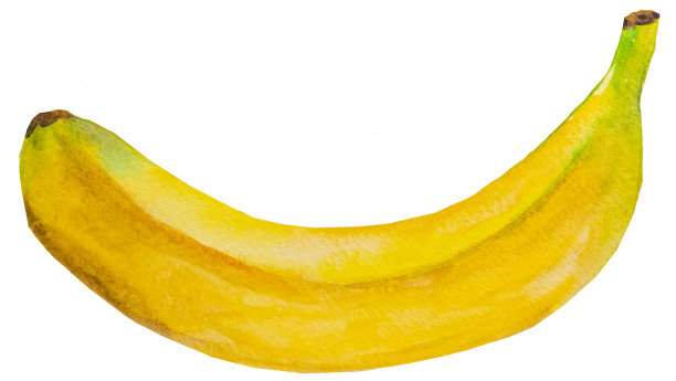 水彩黄熟香蕉。全热带水果插图图片下载
