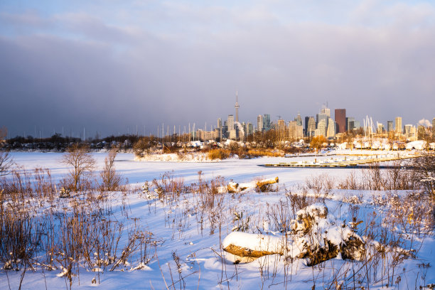 汤米汤普森帕克温特，多伦多图片下载