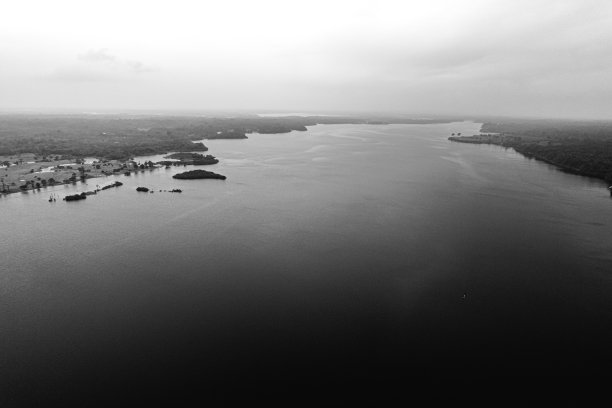 惊人的亚马逊和丛林。黑白照片图片下载