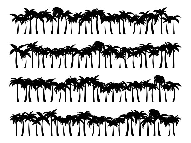 一组白色背景上棕榈树黑色剪影的风景。地平线上的热带棕榈树排成一行。设计旅游横幅、海报及宣传项目。矢量图图片下载