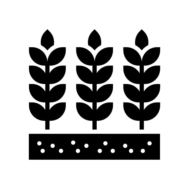 小麦矢量固体图标设计插图。农业和农业符号在白色背景EPS 10文件图片下载