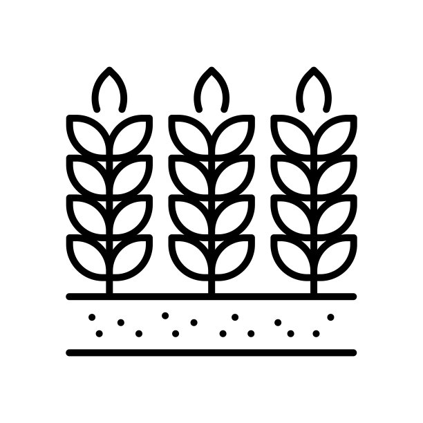 小麦矢量轮廓图标设计插图。农业和农业符号在白色背景EPS 10文件图片下载