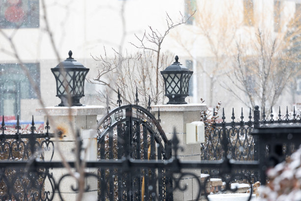 雪在冬天图片下载