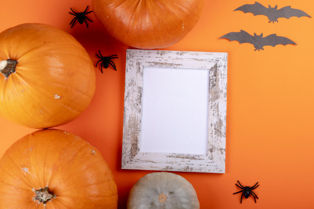 万圣节装饰的组成与南瓜和框架复制空间在橙色的背景图片下载