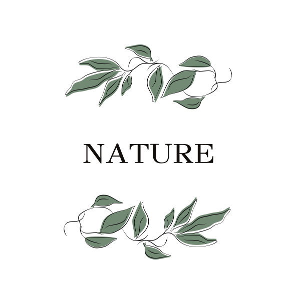 摘要，现代标志的热带树叶。象征生态，象征自然。一个元素与空格文本，单行风格。印刷，横幅，明信片。矢量艺术插图图片下载