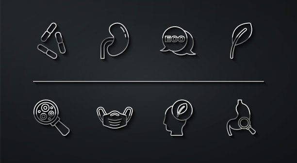 设置病毒、放大镜下的微生物、叶片、带叶片的人头、医用防护口罩、肾、胃放大镜和生态健康食品图标标签。向量图片下载