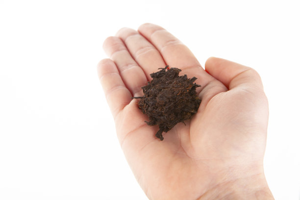 茶手白色背景图像图片下载