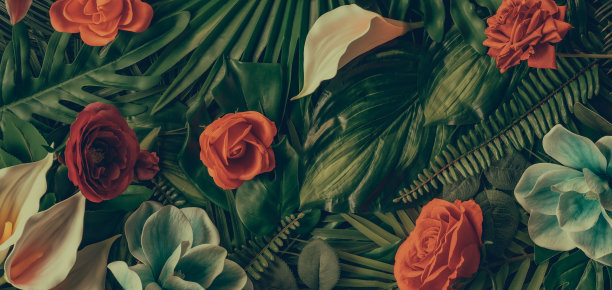 创意图案由花朵和树叶铺平的概念自然花卉贺卡色彩缤纷的春天花朵背景空间为文字时尚的自然装饰设计图片下载