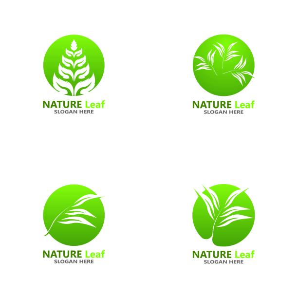 自然叶图标和符号模板矢量图片下载