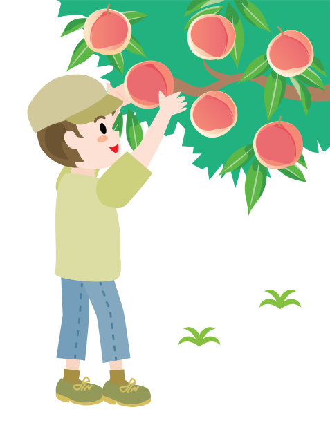 那个摘桃子的男孩。图片下载