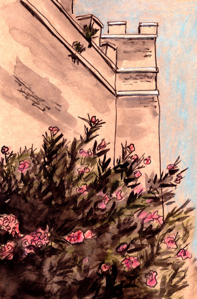 旅行写生意大利罗马古墙夹竹桃写生图片下载