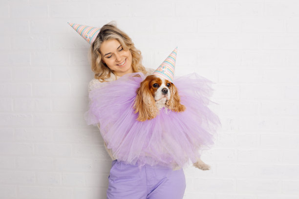 年轻女子抱着她的宠物查理国王猎犬的肖像。他们穿着白色和淡紫色的衣服，戴着同样有趣的帽子参加聚会。照片在工作室的白色背景。图片下载