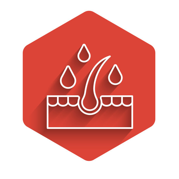 白线有机精油护理头发图片下载