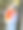 鱼缸里的锦鲤图片下载