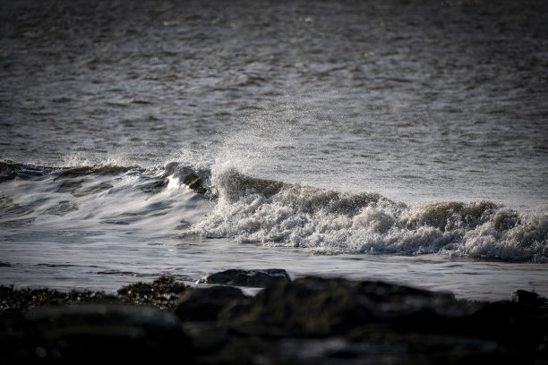 在有风的日子里，从海浪顶部喷洒图片下载