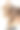 有创意的辫子发型的金发女性的背面肖像。图片下载