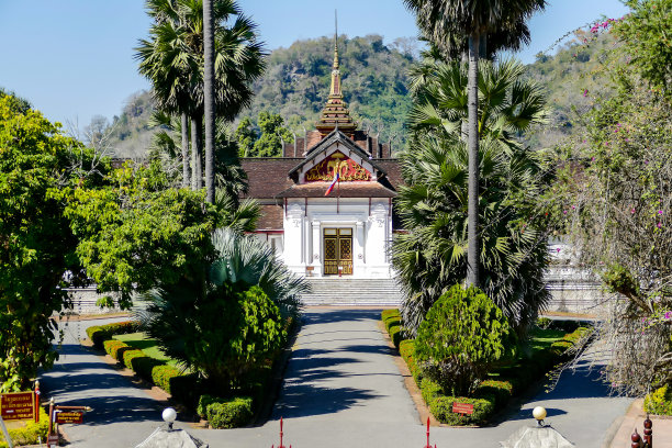 房子在公园里，数码照片照片作为背景图片下载